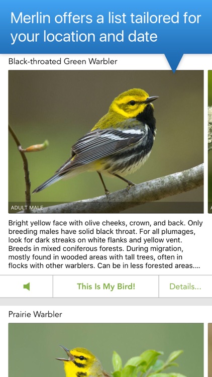 Merlin Bird ID by Cornell Lab of Ornithology screenshot-3