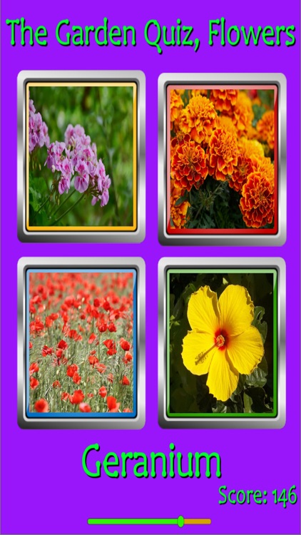 The Garden Quiz: Flowers