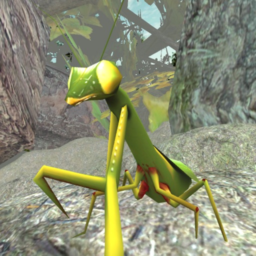 Praying Mantis Simulator 3D iOS App