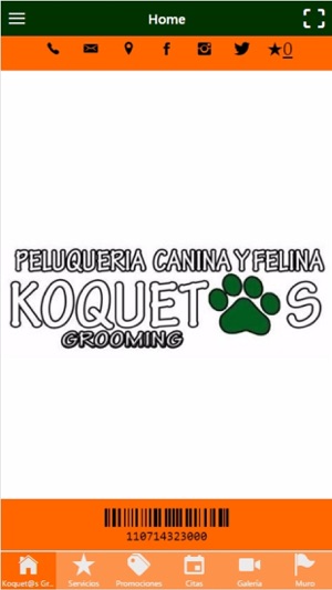 Koquetos Grooming