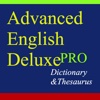 Advanced Deluxe Dictionaries And Thesaurus Pro