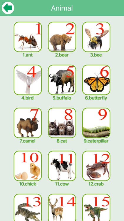 Family Language screenshot-3