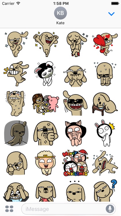 Chocolate Dog 3