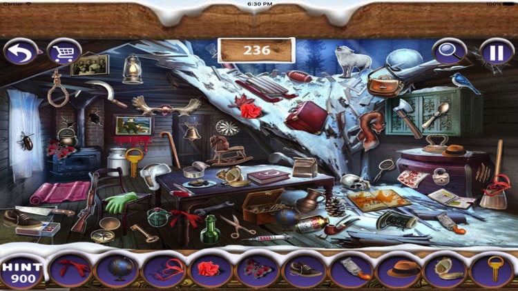 Free Hidden Object : White Snow