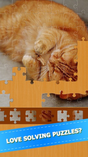 可爱的猫咪 可爱的小猫 猫的游戏 好玩的益智小游戏 Cat Kitten Puzzle Jigsaw(圖5)-速報App