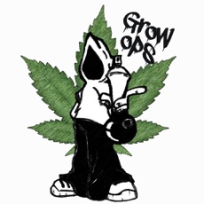 Activities of Grow Ops - The weed firm game; buy, farm, sale.