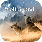 Wolf Sounds - Gray wolf Sounds