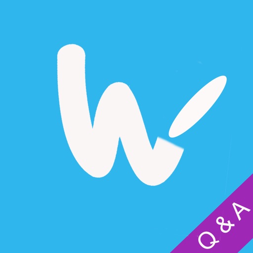 Q & A For Wish - Shopping Made Fun