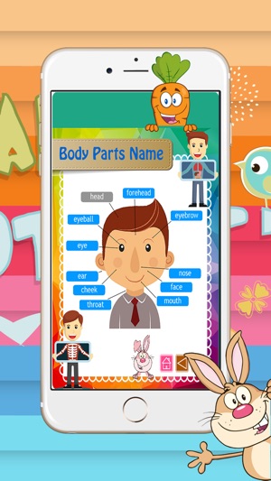 Body Parts Name: 網上學英語(圖3)-速報App