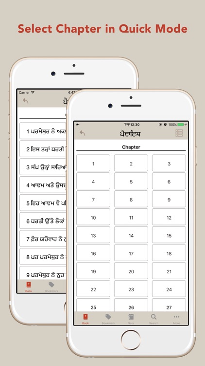 Punjabi KJV English Bible screenshot-3