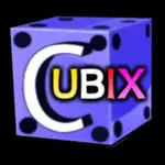 Cubix App Contact