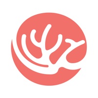 Hawaii Unified