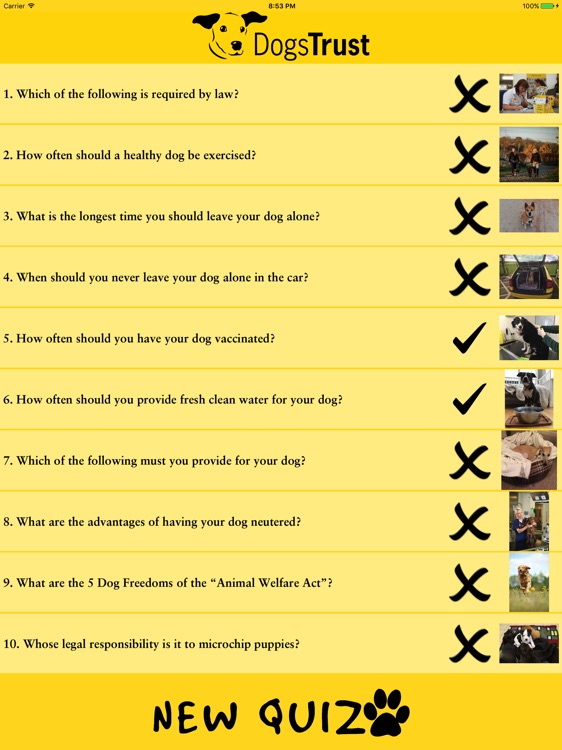 Dogs Trust Quiz screenshot-3