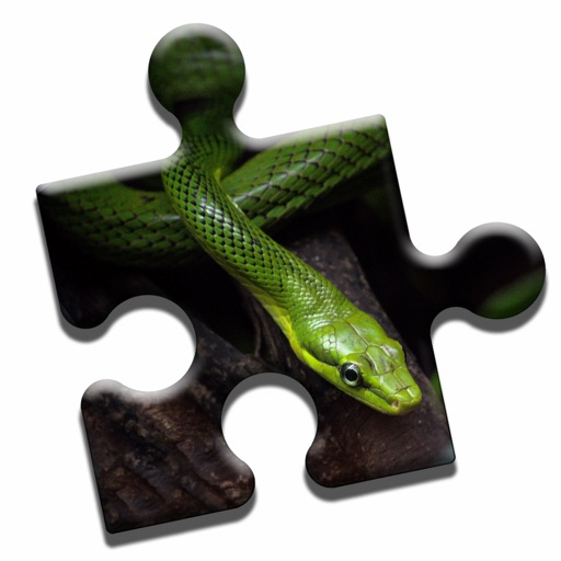 Snake Love Puzzle