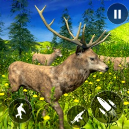 Deer Hunter Safari