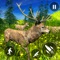 Let’s hunt to become a best deer sniper hunter in this animal hunting game