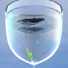 炭酸水のクジラ