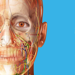 Human Anatomy Atlas 2023 - Visible Body