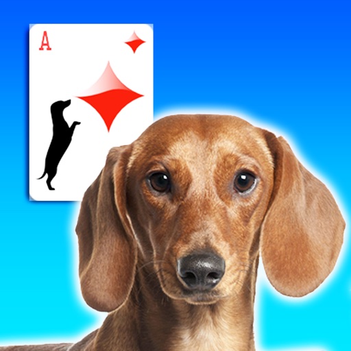 Doxie Solitaire