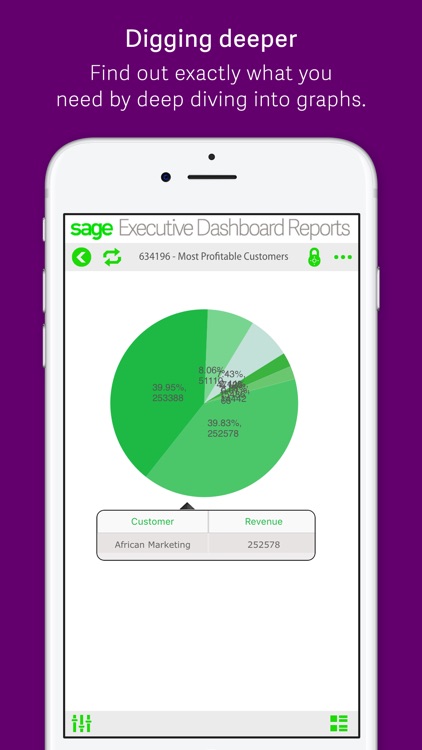 Sage Executive Dashboard Reports screenshot-3