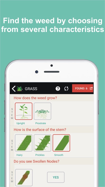 Savvy Weed ID & Control