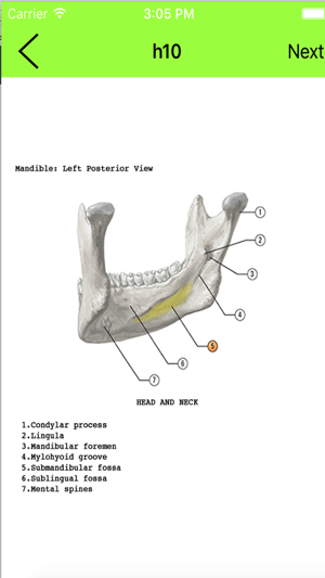 Anatomy Flashcard(圖3)-速報App