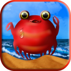 Activities of Crazy Crab Escape - The Impossible Challenge