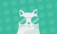 Cat GIF TV