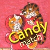 Cats Love Candy Match