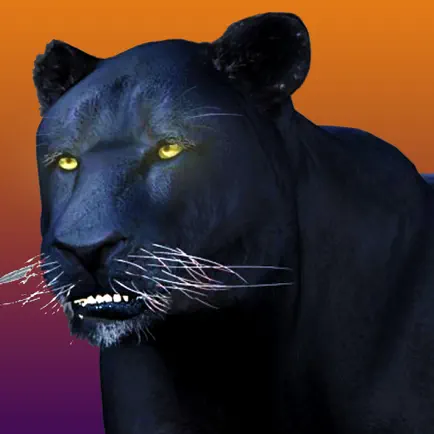 Deadly Black Panther - WIld Animal Simulator 3D Cheats