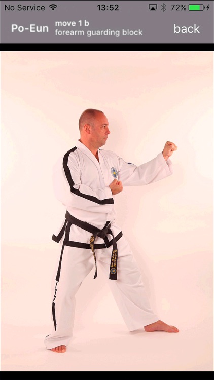 tkd patterns screenshot-4
