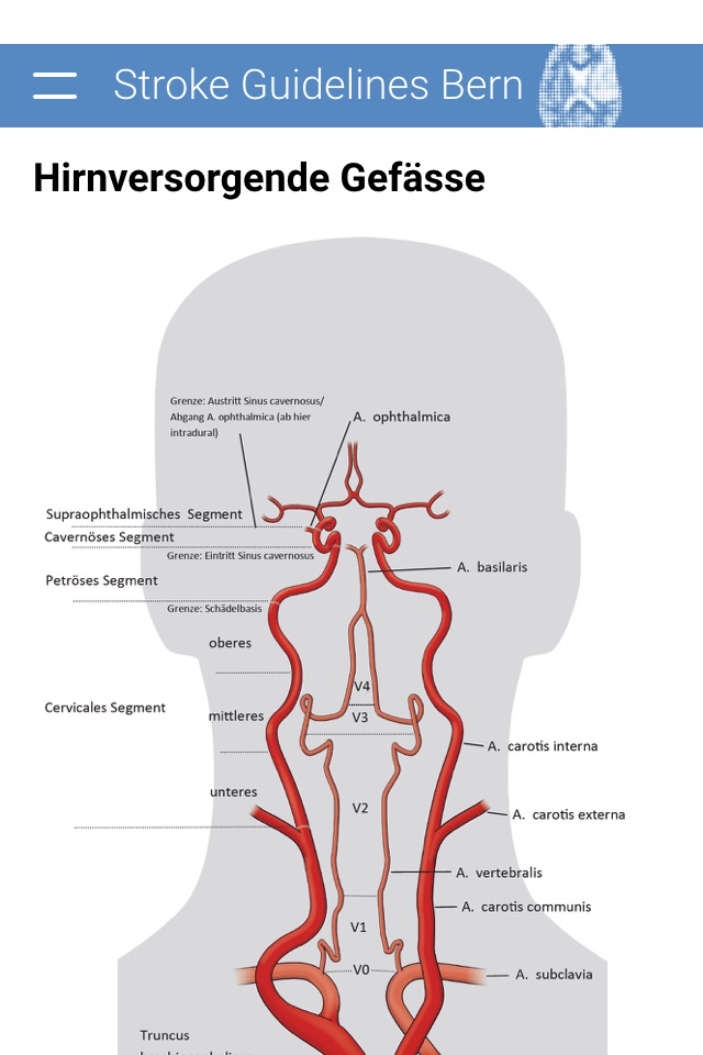 Stroke Guidelines Bern screenshot 4