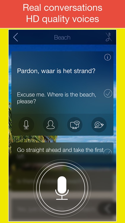 Learn Dutch, Speak Dutch - Language guide screenshot-3