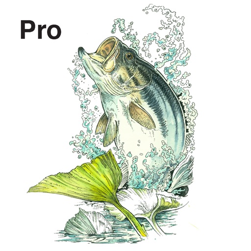 FishMate®Pro