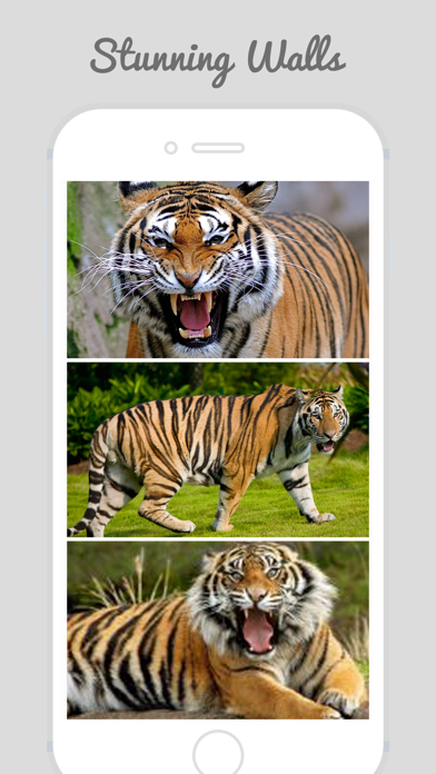 How to cancel & delete Tiger Wallpapers - Best Animal Background from iphone & ipad 1