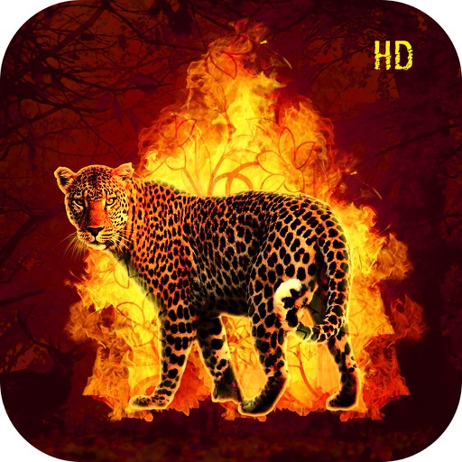 HD Wallpapers for Animals Background & Lock Screen by Nishant Patel