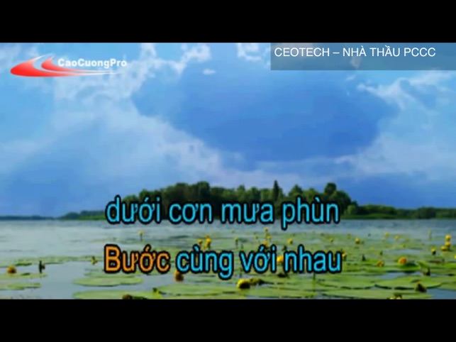 Hat Karaoke Viet Nam - Pro