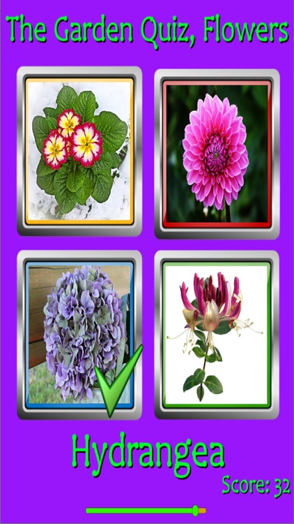 The Garden Quiz: Flowers screenshot-3