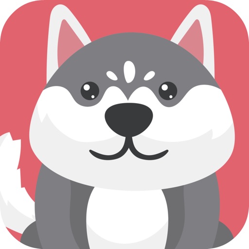 My Cream Puppy - The Hook Series iOS App