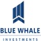 Investment Portfolio App for customers of Bluewhale investments