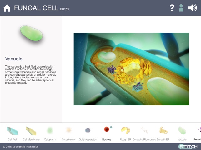 Build a Cell(圖3)-速報App