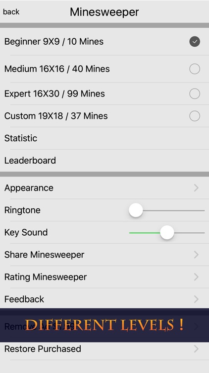 Minesweeper™ Deluxe screenshot-3