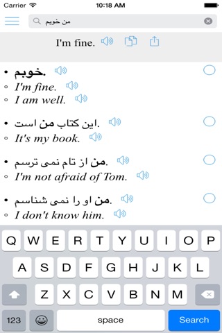 Persian Translator Pro, Farsi English Offline screenshot 3
