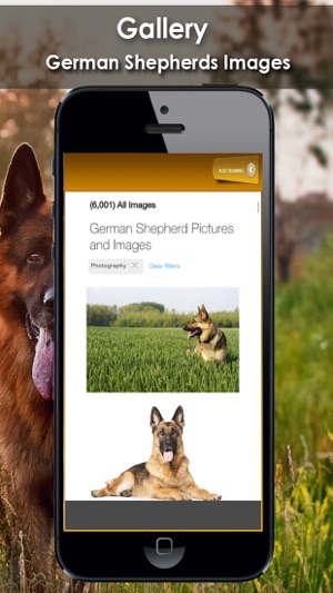 K9 German Shepherds Watch Dogs - Rescue Dogs Prem(圖4)-速報App