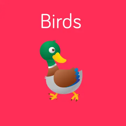 Birds Flashcard for babies and preschool Читы