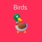 Icon Birds Flashcard for babies and preschool