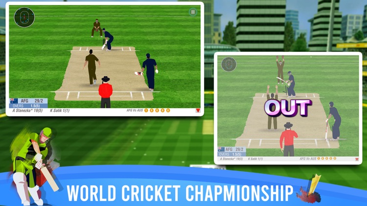 Real World Cricket champion 3D