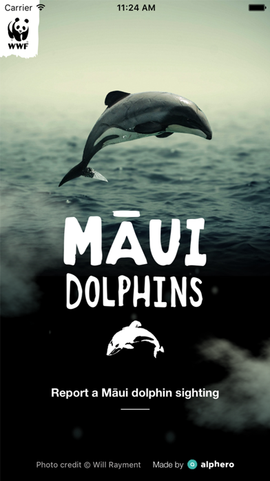 How to cancel & delete Maui Dolphin from iphone & ipad 1