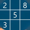 Solver of sudoku
