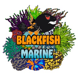 Blackfish Marine